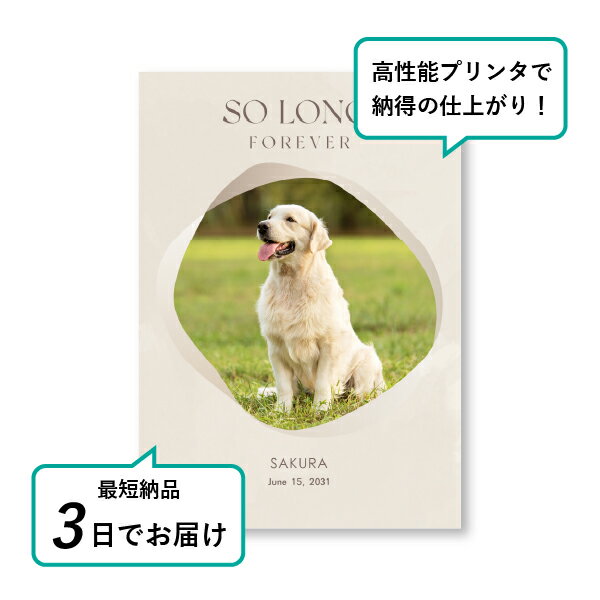 �ڥå� ���� �ե��ȥ��ꥢ��ܡ��ɡʥߥ��ƥ� �ߥ륭���١������ A4������(�ڥå� ���� �̿� ̾�� ǯ���� ��ǰ ���� ���ꥢ�륰�å� �ڥåȶ��� �ڥå�ʩ�� ���� �� ������� ǭ ������ �ϥॹ���� Ļ ��ưʪ �פ��� ���襤�� �������)