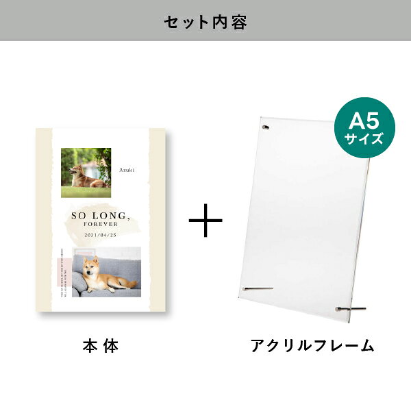 PIARY(ピアリー)楽天市場店のペット 位牌 フォトメモリアルボード（アンドラバーズDesign.1 グレージュ） A5サイズ(ペット 位牌 写真 名前 年月日 記念 形見 メモリアルグッズ ペット供養 ペット仏壇 初盆 犬 わんちゃん 猫 うさぎ ハムスター 鳥 小動物 思い出 かわいい おしゃれ)｜アングル2