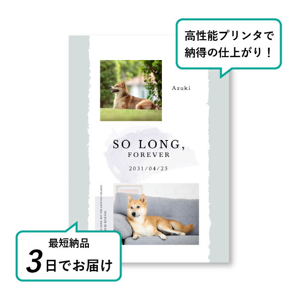 �ڥå� ���� �ե��ȥ��ꥢ��ܡ��ɡʥ���ɥ�С���Design.1 ���꡼�֥��쥤�� A4������(�ڥå� ���� �̿� ̾�� ǯ���� ��ǰ ���� ���ꥢ�륰�å� �ڥåȶ��� �ڥå�ʩ�� ���� �� ������� ǭ ������ �ϥॹ���� Ļ ��ưʪ �פ��� ���襤�� �������)