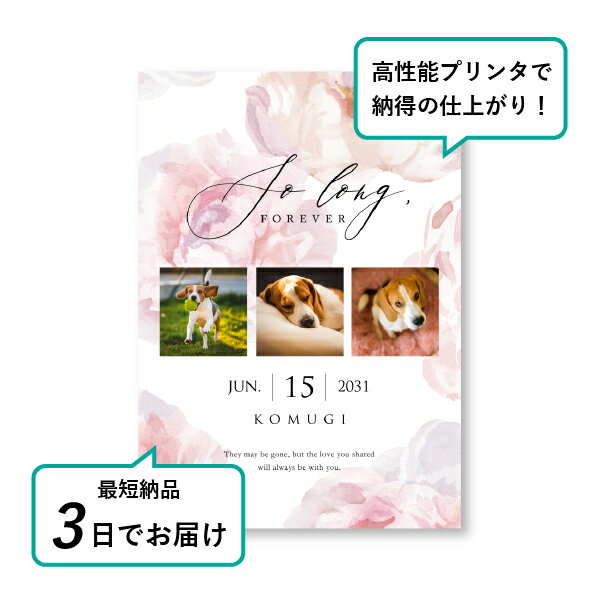 �ڥå� ���� �ե��ȥ��ꥢ��ܡ��ɡʥȥ졼�����ե����ꥹ ���㥯�䥯�� A5������(�ڥå� ���� �̿� ̾�� ǯ���� ��ǰ ���� ���ꥢ�륰�å� �ڥåȶ��� �ڥå�ʩ�� ���� �� ������� ǭ ������ �ϥॹ���� Ļ ��ưʪ �פ��� ���襤�� �������)