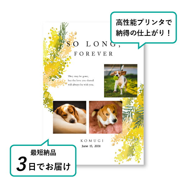 �ڥå� ���� �ե��ȥ��ꥢ��ܡ��ɡʥȥ졼�����ե����ꥹ �ߥ⥶�� A5������(�ڥå� ���� �̿� ̾�� ǯ���� ��ǰ ���� ���ꥢ�륰�å� �ڥåȶ��� �ڥå�ʩ�� ���� �� ������� ǭ ������ �ϥॹ���� Ļ ��ưʪ �פ��� ���襤�� �������)