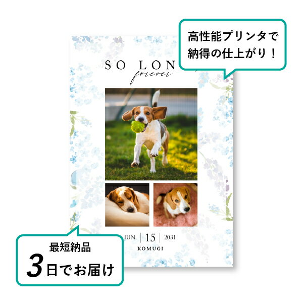 �ڥå� ���� �ե��ȥ��ꥢ��ܡ��ɡʥȥ졼�����ե����ꥹ ��٥������ A4������(�ڥå� ���� �̿� ̾�� ǯ���� ��ǰ ���� ���ꥢ�륰�å� �ڥåȶ��� �ڥå�ʩ�� ���� �� ������� ǭ ������ �ϥॹ���� Ļ ��ưʪ �פ��� ���襤�� �������)