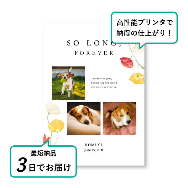 �ڥå� ���� �ե��ȥ��ꥢ��ܡ��ɡʥȥ졼�����ե����ꥹ �ݥԡ��� A5������(�ڥå� ���� �̿� ̾�� ǯ���� ��ǰ ���� ���ꥢ�륰�å� �ڥåȶ��� �ڥå�ʩ�� ���� �� ������� ǭ ������ �ϥॹ���� Ļ ��ưʪ �פ��� ���襤�� �������)