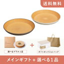 【送料無料】お返し・内祝いギフトセット（品物ギフト earth color 抗菌丸プレート2P）（内祝い お祝い2024お返し ギフトセット）