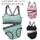 ショーツ 英字ロゴ 無地 リブ キッズ レディース ジュニア下着セット 2点セット パッド付き 大人 女の子 パンツ 肌着 12才〜14才 ジュニア下着セット ...