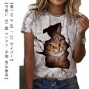 3D 猫 おもしろ Tシャツ パロディ 半袖 猫 ねこ キャット にゃんこ グラフィック Tシャツ ネコ メンズ レディース デザインTシャツ ネタ ストリート 個性的トップス カットソー かわいい アニマル 動物 メッシュ ポリエステル XS-8XL 黒 白 春 夏 秋 送料無料