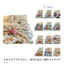 肌掛け布団 シングル 夏布団 掛け布団 キルトケット ガーゼケット 肌ふとん 肌掛けふとん 肌布団 はだ布団 肌がけ布団 夏ふとん タオルケット 肌掛けふとん 肌かけふとん 洗える 夏 涼感 吸水 通気性 なめらか ふんわり 寝具 おしゃれ 北欧 ギフト