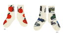 yS[gD[nEbh GO TO HOLLYWOODzS g N} SOCKS (S-M/13-18cm)y1422001z