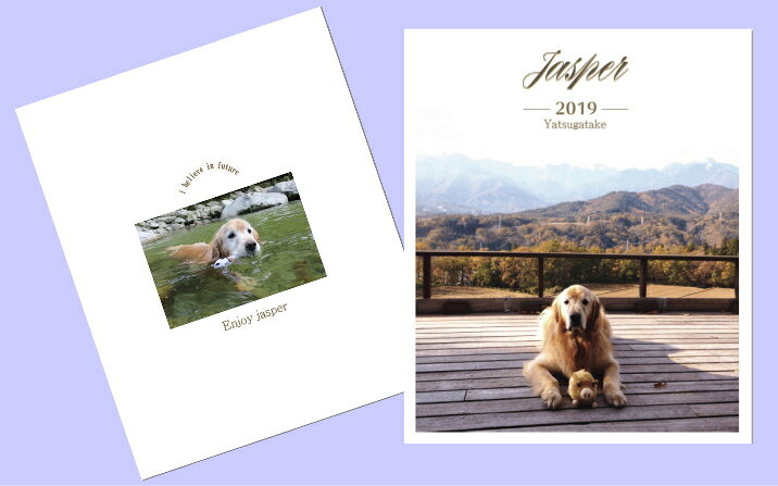 名入れアルバム メモリアル ポケットアルバム 【ペット】80枚ベストショットで作るアルバム 写真 名入れ郵便発送