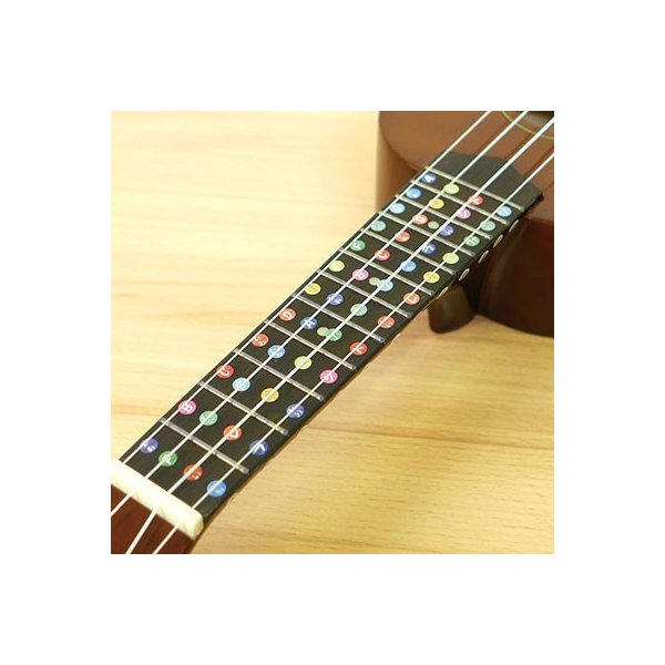 �ɥ�ߤ��ؤ٤륷���롡�ڤ������������