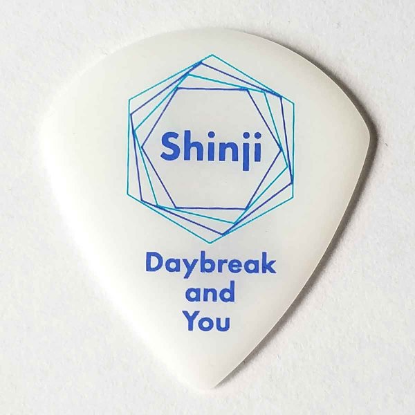 kusakusa88 ピック SID Shinji 2017日本武道館 　アーティストピック