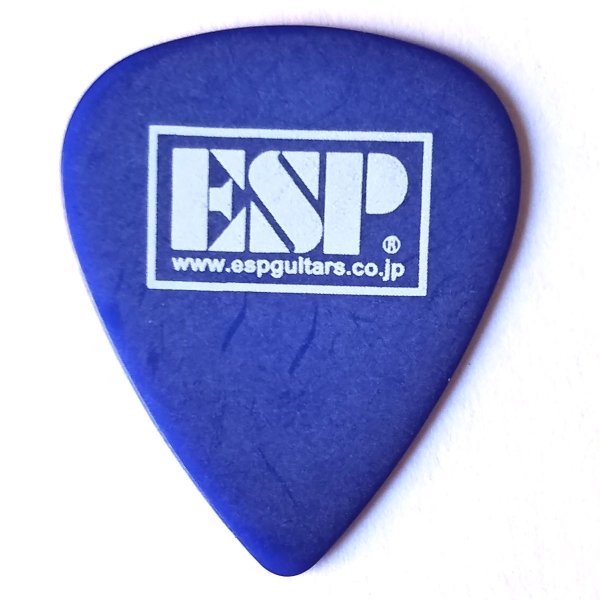 ESP　ピック Noel(VANISHING STARLIGHT) PA-Noel08　アーティストピック