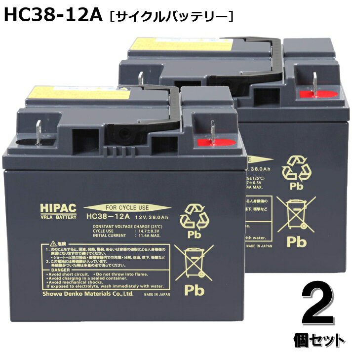 HC38-12A 2個セット 小型制御弁式鉛蓄電池 サイクルバッテリー 電動車椅子などの動力源として活躍 適応 : スズキセニアカー エナジーウィズ (Energywith)