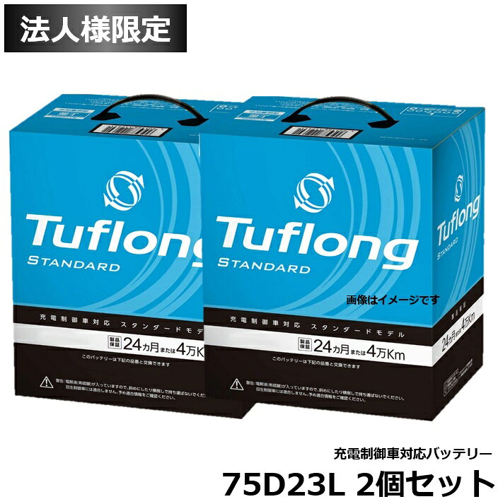 ��ˡ�͸����2�ĥ��å� ���ʥ��������� �񻺼֥Хåƥ꡼ ����������б� (Tuflong STANDARD) STA75D23L �ʸߴ�: 55D23L 60...