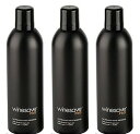 【3本セット】アルゴン ワインセーブ プロ フード&ワイン EV350BK Winesave Pro 保存用ガススプレー 酸化防止