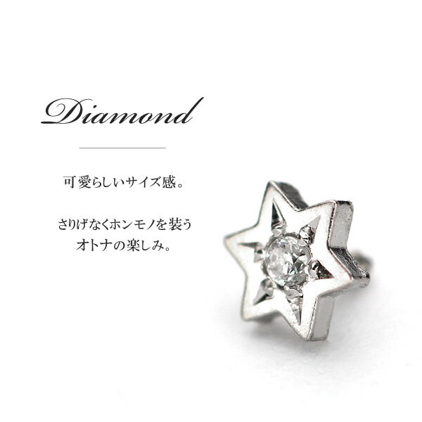 正規品 プラチナダイヤモンド 軟骨ピアス ボディピアス パーツ 16g 14g対応 金属アレルギー対応 かわいい六芒星 スターモチーフ プラチナ ダイヤモンド ボディピアス 軟骨ピア Twistedpuppy Com 正規品 プラチナダイヤモンド 軟骨ピアス ボディピアス パーツ 16g 14g対応 金属アレルギー対応 かわいい六芒星 スターモチーフ プラチナ ダイヤモンド ボディピアス 軟骨ピア Twistedpuppy Com