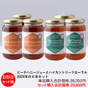 【お得な2種類6本セット】ニュージーランドAsureQuality オーガニック認定 詰めたて 完全非加熱 ビーチハニージュー 生はちみつ 2023×3本 ハイカントリーフローラル生はちみつ 2024×3本 500g 合計6本セット