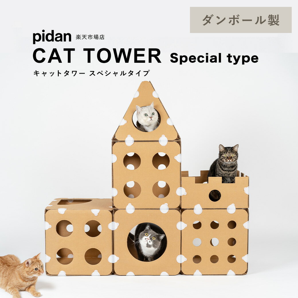 pidan（ピダン）『キャットタワー スペシャルタイプ』