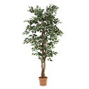人工観葉植物 フェイクグリーン Ficuse(フィカス) 1124 H170cm 2種対応 人工植物 観葉植物 おしゃれ フェイク 造花 大型 グリーン インテ...