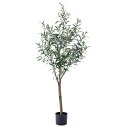 【ポイント3倍】人工観葉植物 フェイクグリーン OLIVE(オリーブ) GRN-17 H152cm 人工植物 観葉植物 おしゃれ フェイク 造花 大型 グリーン オリーブの木 インテリア