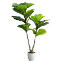 【P5倍!最大5%OFFクーポン12時〜】フェイクグリーン 観葉植物 大型 高さ120cm 光触媒 人工観葉植物 リラータ Nature(ナチュレ) フェイク ...