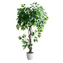 【P5倍!最大5%OFFクーポン12時〜】フェイクグリーン 観葉植物 大型 高さ120cm 光触媒 人工観葉植物 ベンジャミン Nature(ナチュレ) フェイ...