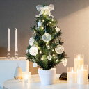 【本日最終P10倍!20時〜25:59決算sale】 クリスマスツリー 北欧 H60cm LEDライト付き クリスマスツリー オーナメントセット Moi(モア)...