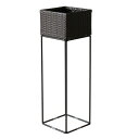 【本日最終P10倍!20時〜25:59決算sale】 プランタースタンド 室内 幅22cm ラタンプランタースタンド Grand(グラン) 2色対応 プランター...