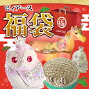 <きらきらジュエリーボックス おたのしみ福袋 たっぷりセット>大人気クラウンフクロウが必ず入ってる!そのほかはお楽しみ♪ 福袋 ギフト 卒業 入学 可愛い 誕生日プレゼント 女性【あす楽対応】 クリスマス 新生活