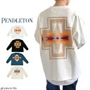 【ラスト1】 PENDLETON ペンドルトン Tシャツ バックプリント ロングスリーブ ティ Back Print LS Tee メンズ レディース ユニセッ...