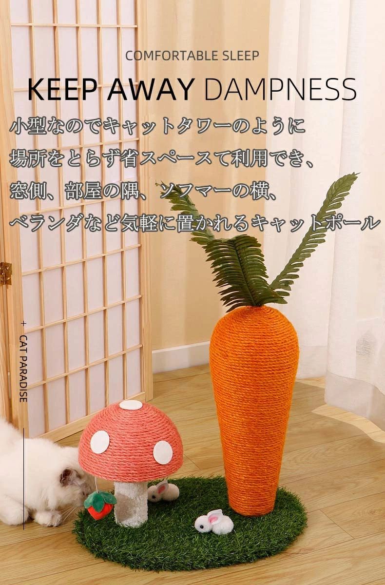 ǭ �ޤȤ� �ݡ��� �ˤ󤸤� �޸��� ǭ�� �� ǭ�Ĥ�Ȥ� �ޤȤ��ݡ��� �ͻ� ����åȥ�� ǭ���� �ڥå��� ������� ����ƥꥢ ���᤭ �ޤߤ��� ������� �İ��� �͵� ����ƥꥢ ���ȥ쥹��� �⤵40cm �Ȥ�Ω�ƴ�ñ �͵�Ŭ��