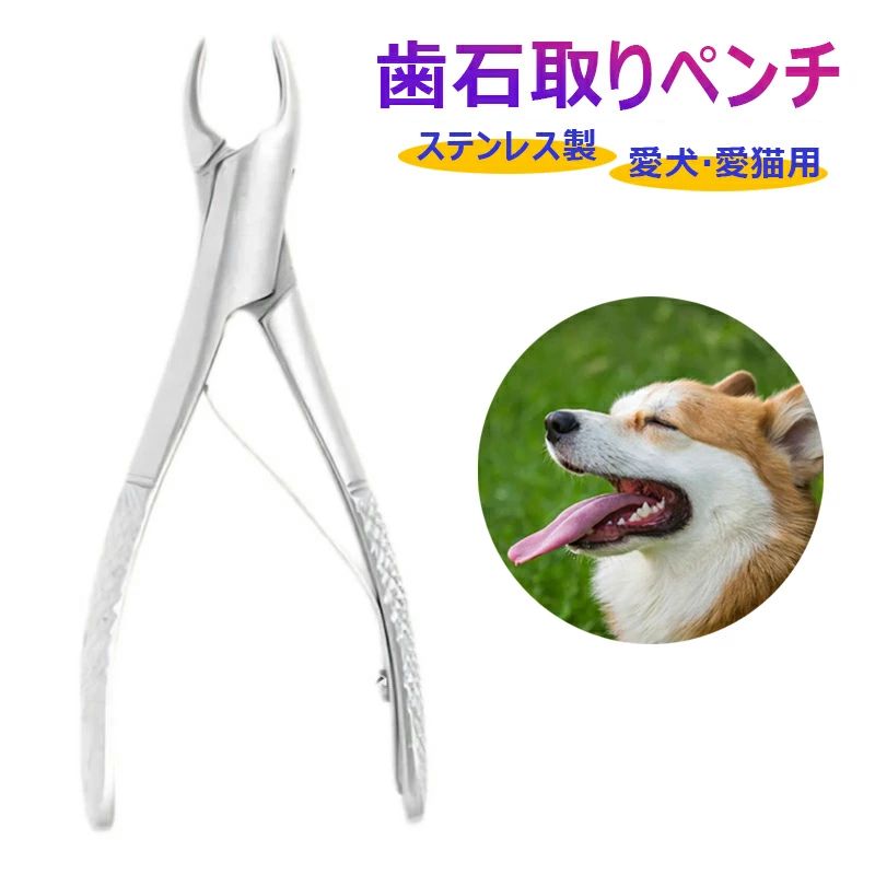 Rakuten - 愛犬・愛猫用 歯石取り ペンチ 犬 歯石 デンタルケア ホームケア 猫 プロも愛用