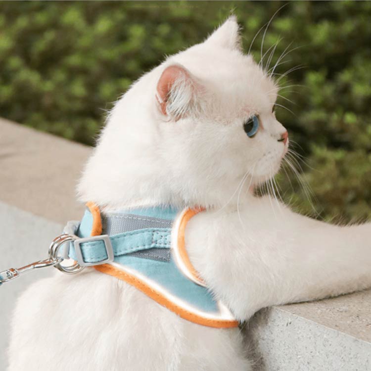 猫 ハーネス リードセット 猫用 犬用 小型犬 胴輪 脱げない 簡単装着 お出かけ 散...