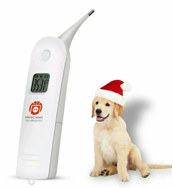 短くて正確な直腸温である3インチの長さのプローブを使用して、任意のサイズの動物の体温を収集することができます。 馬、子犬、子猫、家禽に適したコンパニオンペットに適した世界中の獣医診療所 [使いやすい]安全で使いやすく、時間とコストを節約し、...