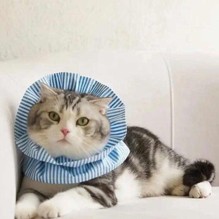 �ڥå��� �ͥ� �ե�� ���� Ĵ���ǽ ���襤�� ǭ ���� ���餫�� ���� ���ե� ��Ѹ奱�� �����ݸ� ���ꥶ�٥����顼 ��ñ����