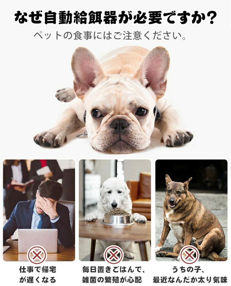 自動給餌器 猫 犬 タイマー 自動餌やり機 水洗い可能 音楽再生 自動えさやり器 コードレス ペット 健康管理 ごはん 6食分 えさ 食事 ペットフィーダー 自動 ドッグフード キャットフード ウェットフード 餌やり機 自動 一人暮らし 2