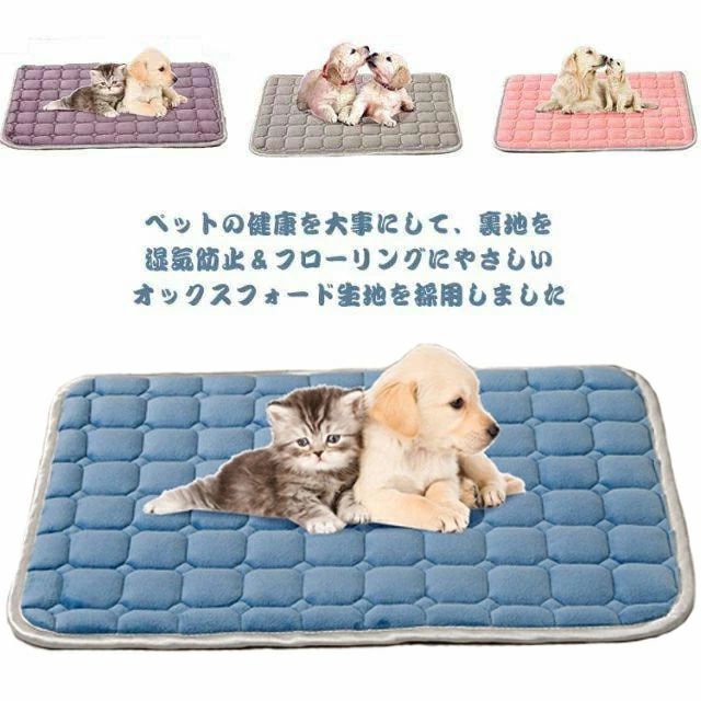 Rakuten - 耐噛みペットベッド！猫 犬 ベッド マット クッション ペットベッド 犬ベッド 猫ベッド 中小型犬 耐噛み 丸洗える ペット用品 おしゃれ 可愛い 寒さ対策 冬 L 大きいサイズ ペットソファ 暖かい ブラック グレー プレゼント ギフト