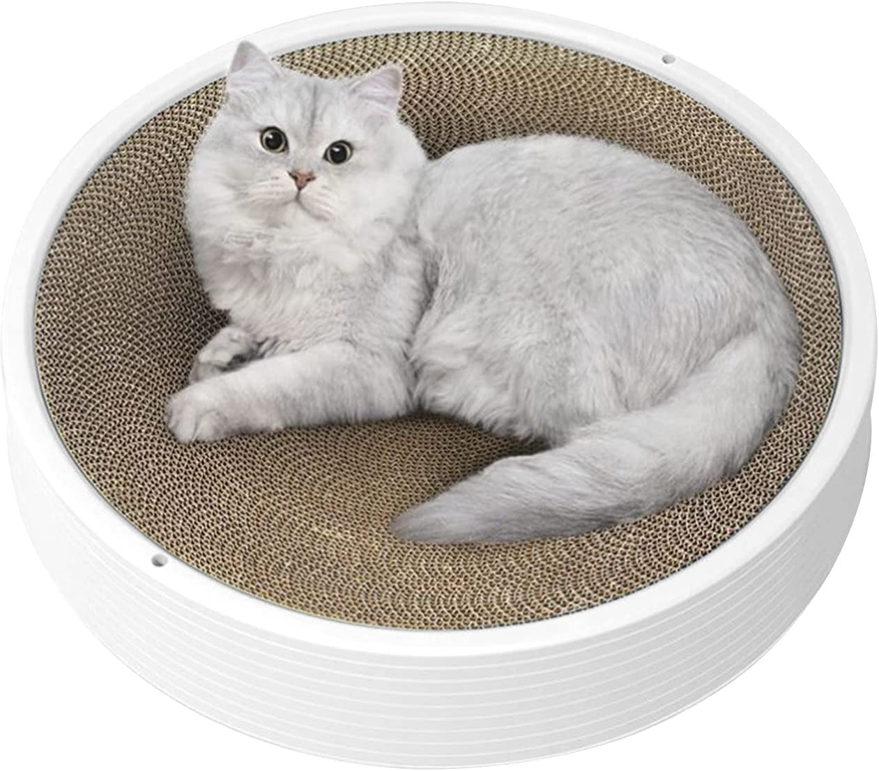 ǭ���ޤȤ� ��45.5cm �磻�� ���ѤĤ�Ȥ� ǭ������å��㡼 ���ꥬ��ǥ��å��� �Ĥ�Ȥ� ��������ܡ��� ��̩�� ������� �٥å� ��ǭ ���ȥ쥹���...