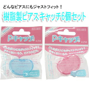 持ち運びに便利なケース付き 樹脂製キャッチ6個セット スペアキャッチに 医療用樹脂製キャッチ プチプラ プレゼント 春夏秋冬 大人気