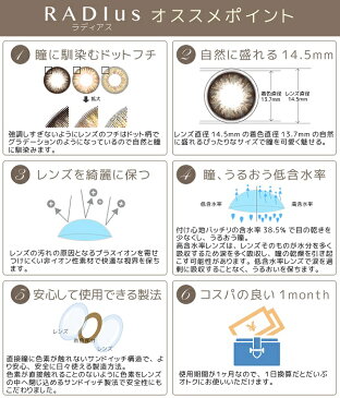 カラコン RADIus ラディアス モカチップ 1箱2枚入り 度なし 1ヶ月用 マンスリー ワンマンス メール便 送料無料 クリスマスプレゼント 秋冬