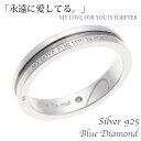 リング メンズ シルバー925製 ブルーダイアモンド ブラックライン メタル 永遠に愛してる シンプル カジュアル シルバーアクセサリー ギフト用にも 送料無料...