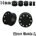 14mm キラリ 小粒ビジュー 一番星ピアス ウッドプラグ★ボディピアス 天然素材 ジュエル 木製 ジルコニア ナチュラル ウッド ピアス イヤーロブ キラキラ...