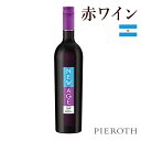 ニュー・エイジ　レッド（2021）750ml 6本セット アルゼンチン サン・ラファエル 赤 ワイン 甘口