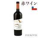 ミラマン エステート・リザーヴ カベルネ・ソーヴィニヨン (2022) Millaman Estate RSV Cabernet Sauvignon イタリア移民ホセ・カネパが1946年からワインを造り始め、1998年に新しいワイナリーを設立。ミラマンとは先住民の言葉で「黄金のコンドル」。サステナブル農法に注力し、2010年からは天才ワインメーカー、 ステファノ・ガンドリーニと協力し、高品質ワインを生産。本カベルネは濃い赤色でフルーティーで複雑なアロマに、甘いチェリー、熟したプラム、ベリーを想起させ、スパイスやトーストの含みがリッチな複雑性を高めます。熟した甘いタンニン、バランスのとれた酸味が広がり、長く心地よい余韻が続きます。 テイスティングノート：紫色がかった濃い赤色。ノーズはフルーティで複雑さを示し、チェリー、熟したプラム、ベリーを想わせる甘さを感じる。スパイスとトーストの含みが、豊かな複雑さを与えている。 口に含むと熟して甘いタンニンが広がり、バランスの取れた酸味と、長く心地よい後味が続く。 合う料理：赤肉、ステーキ、スモークチーズなどと好相性 葡萄品種：100% カベルネ・ソーヴィニヨン *本ヴィンテージが在庫切れの場合、在庫があり価格が同様の場合は自動的に次のヴィンテージに変更されます、ご了承ください。 生産者：ミラマン (ハッシエンダ・エル・コンドル) 生産地：チリ / クリコ タイプ：赤ワイン 葡萄品種：カベルネ・ソーヴィニヨン テイスト：辛口 アルコール度数（%）：13.5% サーブする温度：15℃から16℃ 容量：750ml テロワール：ペテロアはサンティアゴの南200kmに位置する。地中海性気候で、太平洋高気圧の影響を強く受ける。年間降水量は600ミリで、主に冬に降る。夏は通常暖かく、日照量も多く夜は冷え込むため、高品質の葡萄が育つ。樹齢70年の葡萄畑に隣接するマタキート川が微気候を作り出し、気温のバランスを保つ。沖積土土壌で、川によって岩、砂、砂利、そして粘土が残り、さまざまな質感を有する。主な葡萄品種：カベルネ・ソーヴィニヨン、マルベック、ソーヴィニヨン・ブラン、メルロ、シャルドネ。 葡萄畑の位置："植樹：1990年、東から西に向かって植樹し、最大の日照量を獲得する" 気候：地中海性気候 地質：粘土とロームが混ざった深い沖積土土壌 収穫：手摘み収穫 醸造：除梗後選果し、8℃以下でマセラシオンする。30%は土着酵母と、70%は厳選した酵母といっしょにステンレスタンクで発酵。すべてマロラクティック発酵を行う。フレンチオーク樽で8ヵ月熟成。コールド・スタビライゼーション後、ろ過し瓶詰する。 熟成：フレンチオーク樽で8ヵ月熟成 酸度：5.63g/L PH：3.64 残糖度：2.39g/L 後続2023ヴィンテージ サクラアワード2024　ダブルゴールド！