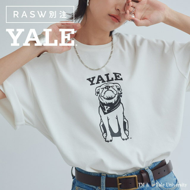 1,000円OFF対象★【最新作】【送料無料】[RASW]別注YALEドッグオーバーTシャツ ☆ Tシャツ コーマコットン オーバーシルエット YALEuniversity コーマ糸 ハンサム・ダン ブルドッグ ターンバック 体型カバー ピエロのサムネイル