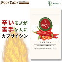 エプリ カプサイシン サプリ【270粒 3ヶ月分】大容量 唐辛子 燃焼 燃焼系 サポート 美容 ダイエットサプリ ウーロン茶 ビール酵母 プーアール茶 黒胡椒 ...