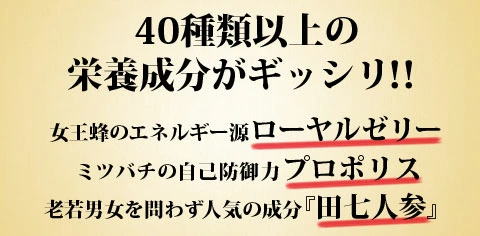 【送料無料】40種類以上の栄養成分がぎっしり たっぷり高級ローヤルゼリー+プロポリス+元気成分 6ヵ月分 しかもたっぷり6か月分でこの価格