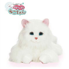 https://thumbnail.image.rakuten.co.jp/@0_mall/pigg/cabinet/cat.jpg