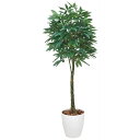 父の日 ギフト 光触媒 光の楽園 パキラ2.0 140F700 人工植物 造花 フェイクグリーン インテリア 消臭 抗菌 防汚効果!水やり お手入れ不要 母の日