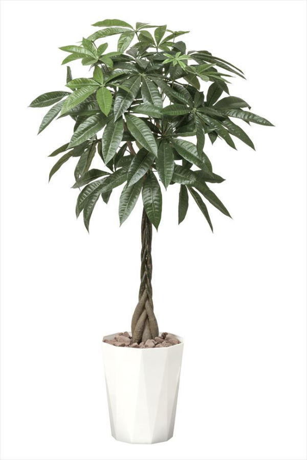 樂天商城 - 光の楽園 光触媒加工 人工観葉植物 パキラ1.25m 510E280 人工観葉 フェイクグリーン 造花 観葉植物 人工 光触媒 母の日